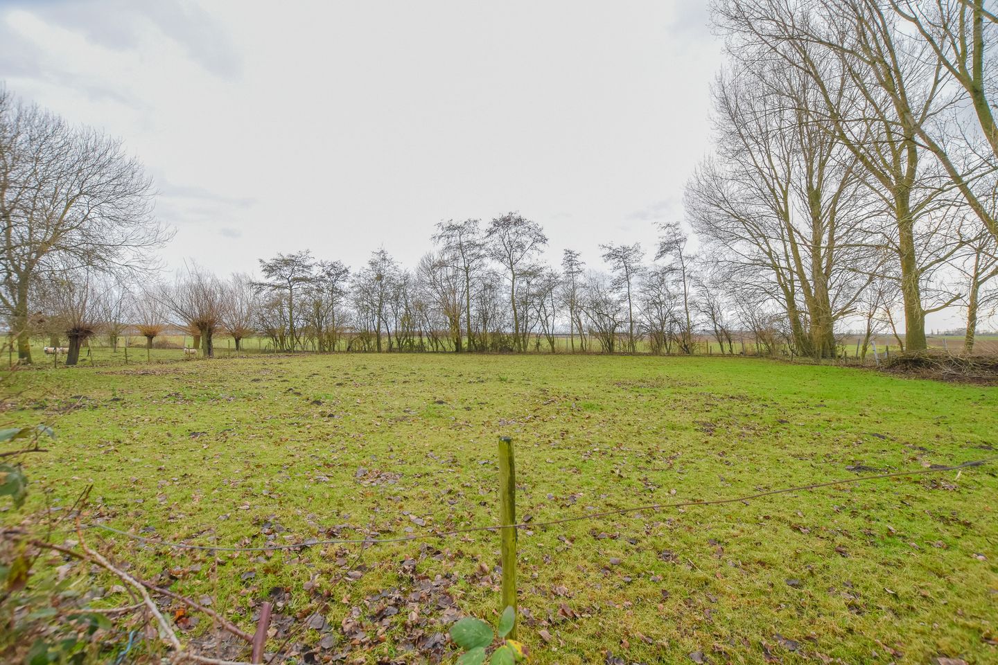 Foto 34 van Kamperseweg 12