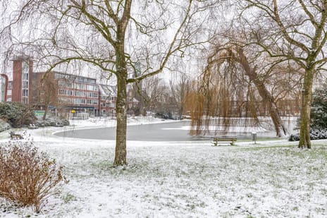 Madoerastraat 1-b tertiary image