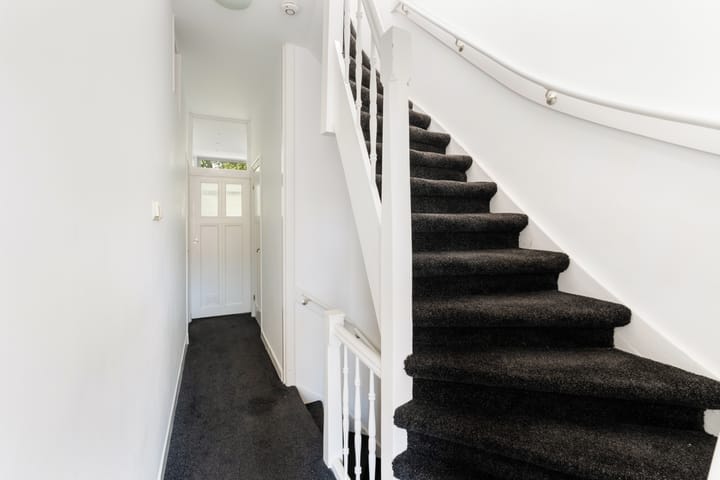 Foto 50 van IJsclubstraat 36-B