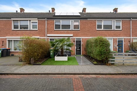 undefined main image