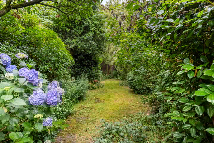 Foto 23 van N.C.B.-laan 44