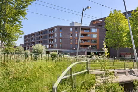 undefined main image