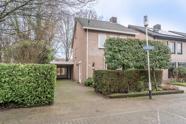 Cijnsbroek 16