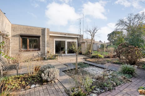 undefined main image