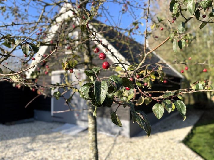 Foto 25 van Teckop 11