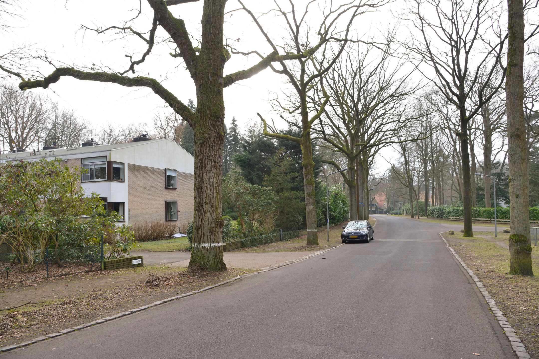 Foto 18 van Palestrinalaan 8