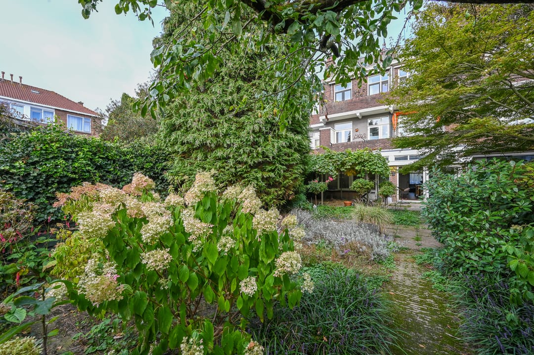 Foto 32 van Laan van Nieuw Oosteinde 304