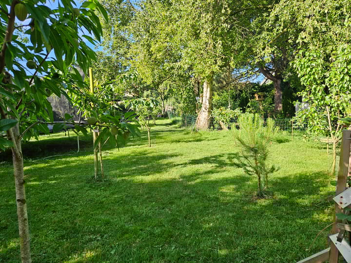 Photo 50 of Buorren 62