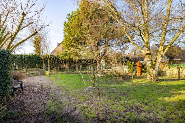 Photo 51 of Buorren 62