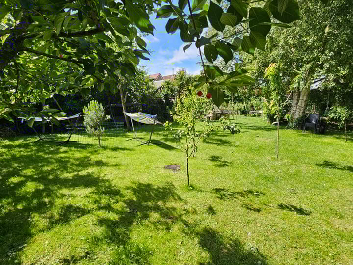 Photo 52 of Buorren 62