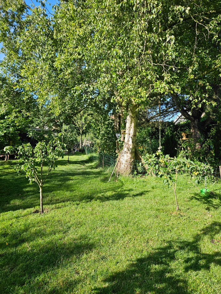 Photo 53 of Buorren 62