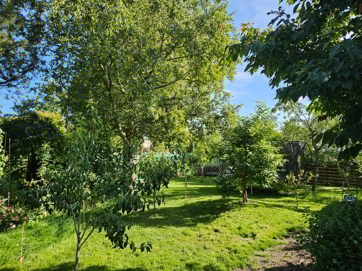 Photo 54 of Buorren 62