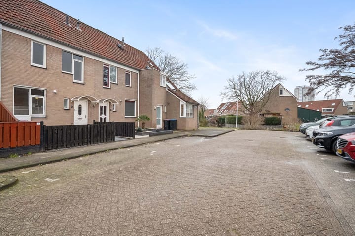 Foto 4 van Borstelgras 6