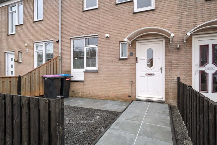 Foto 5 van Borstelgras 6