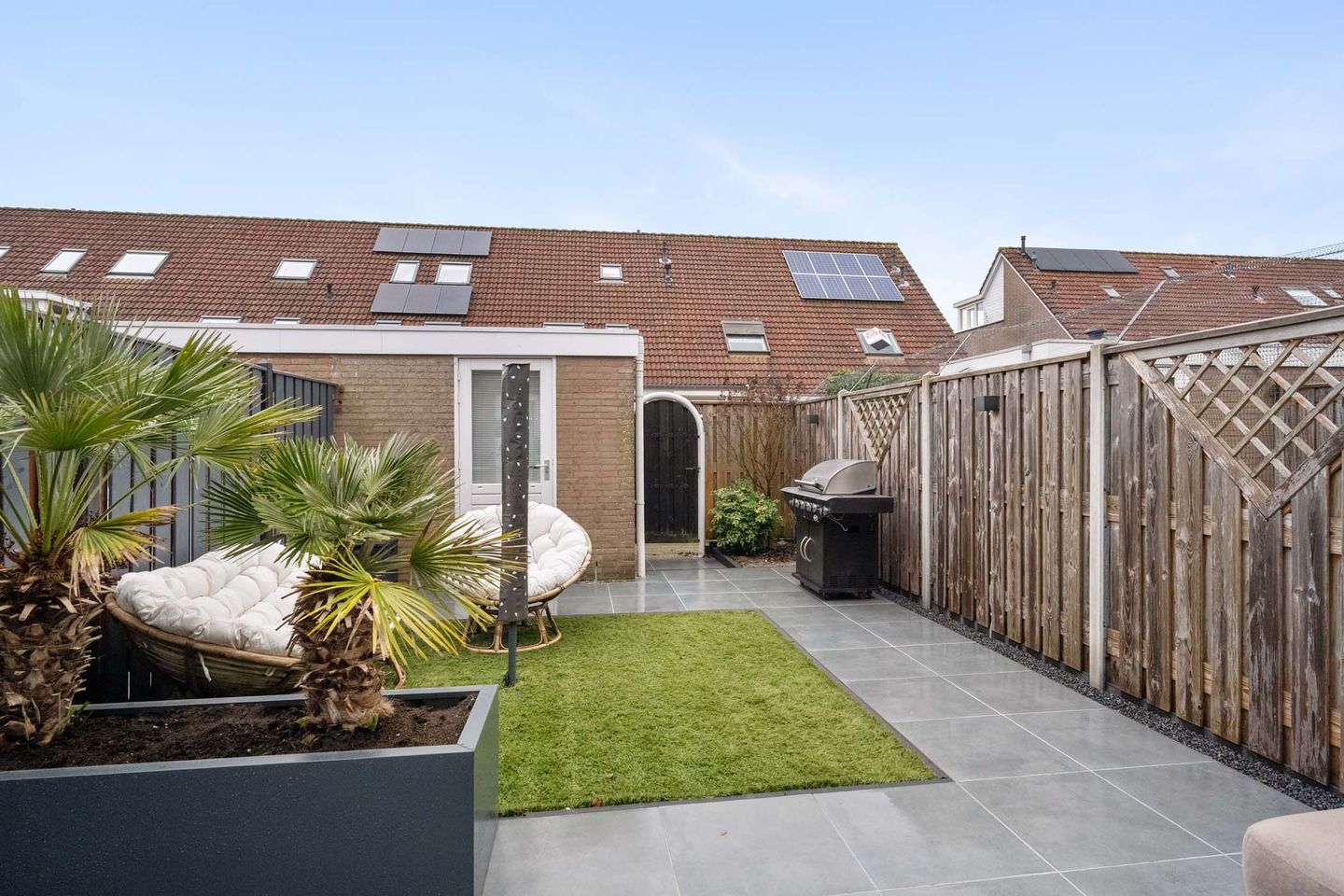 Photo 14 of Borstelgras 6