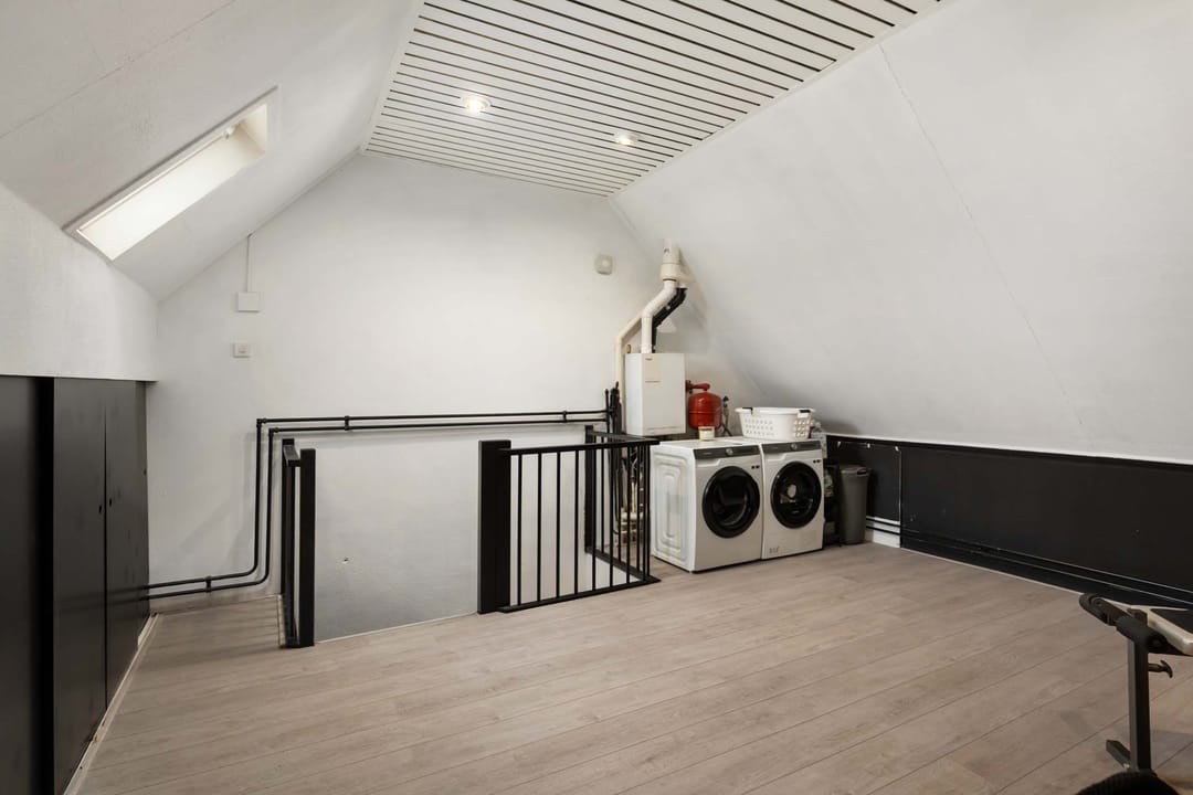 Photo 31 of Borstelgras 6