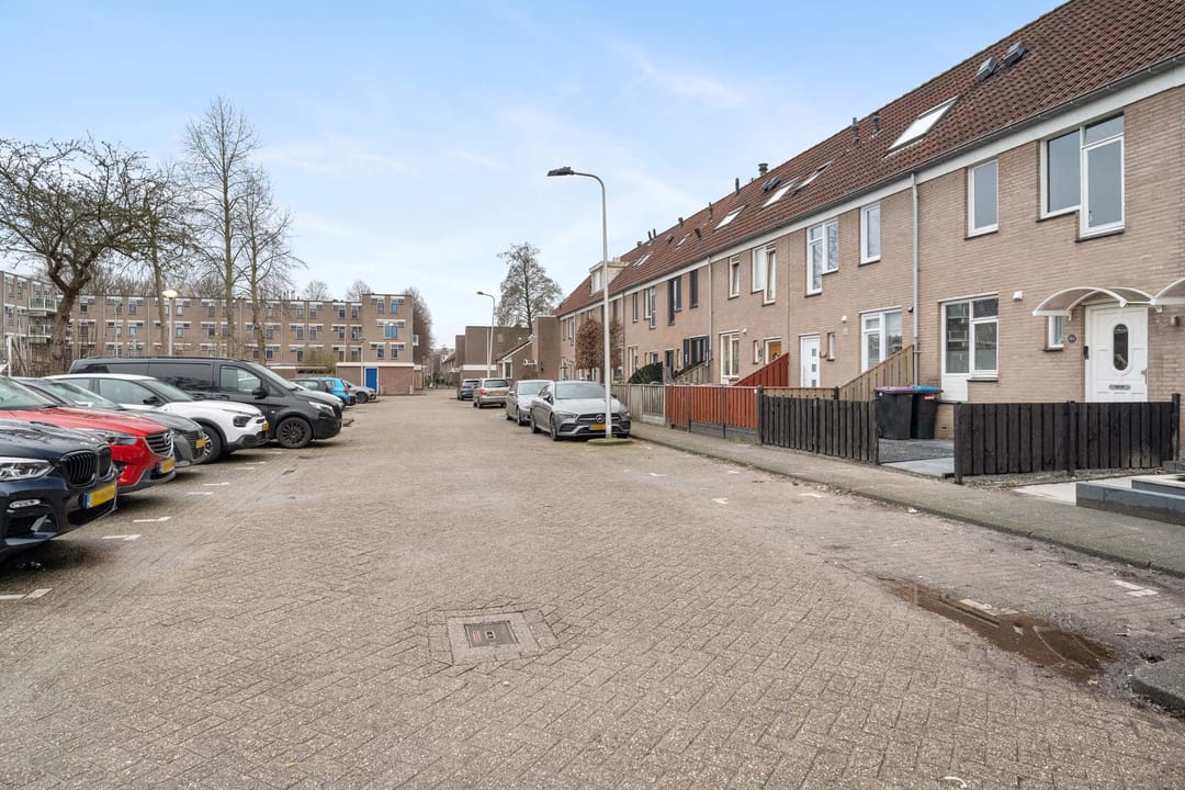 Photo 32 of Borstelgras 6