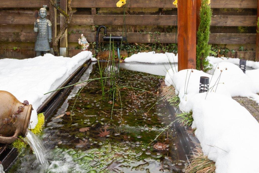 Photo 25 of Houtvester 44