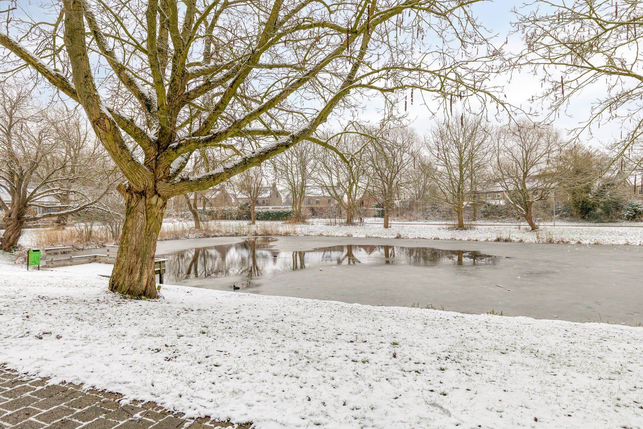 Foto 3 van Hofstukken 124