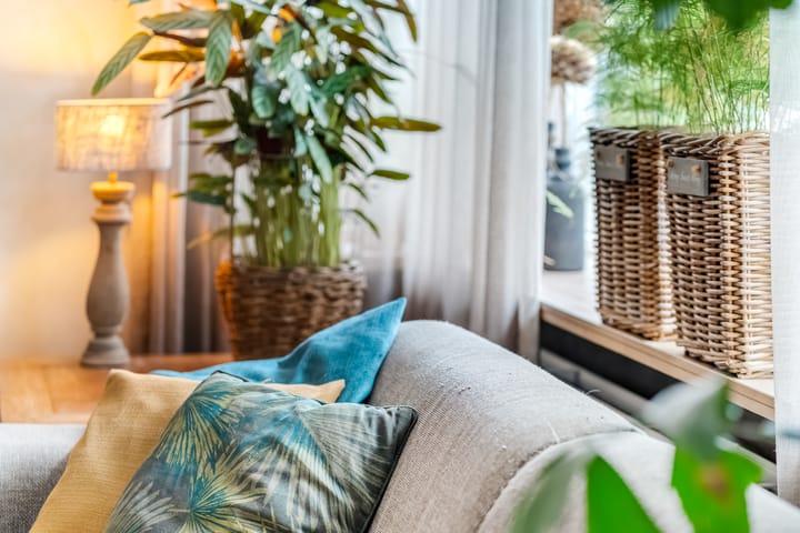 Photo 11 of Brederode 11