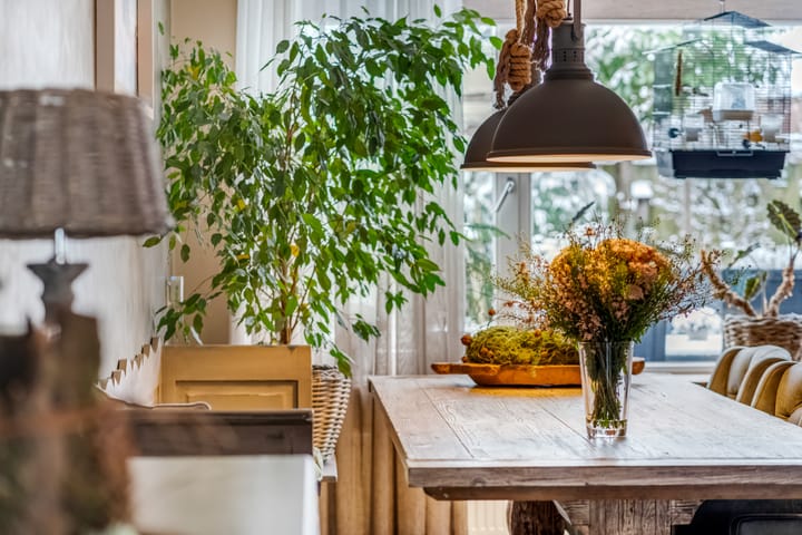 Photo 15 of Brederode 11