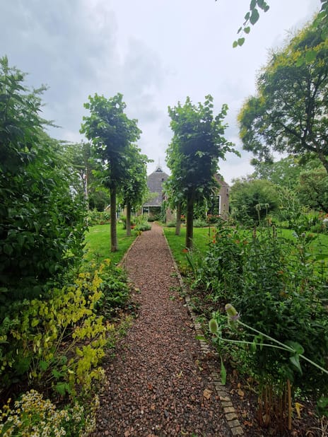 Hegedyk 1 tertiary image