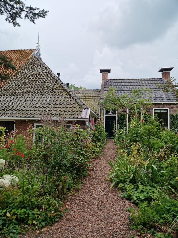 Foto 5 van Hegedyk 1