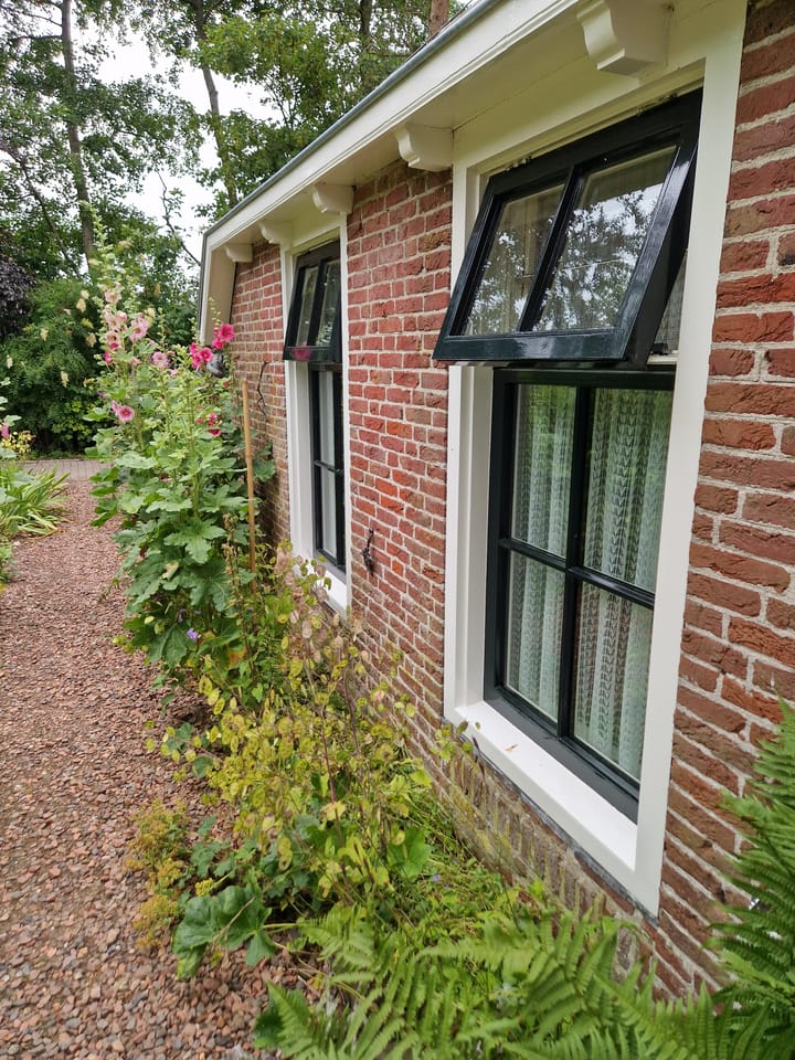 Foto 6 van Hegedyk 1