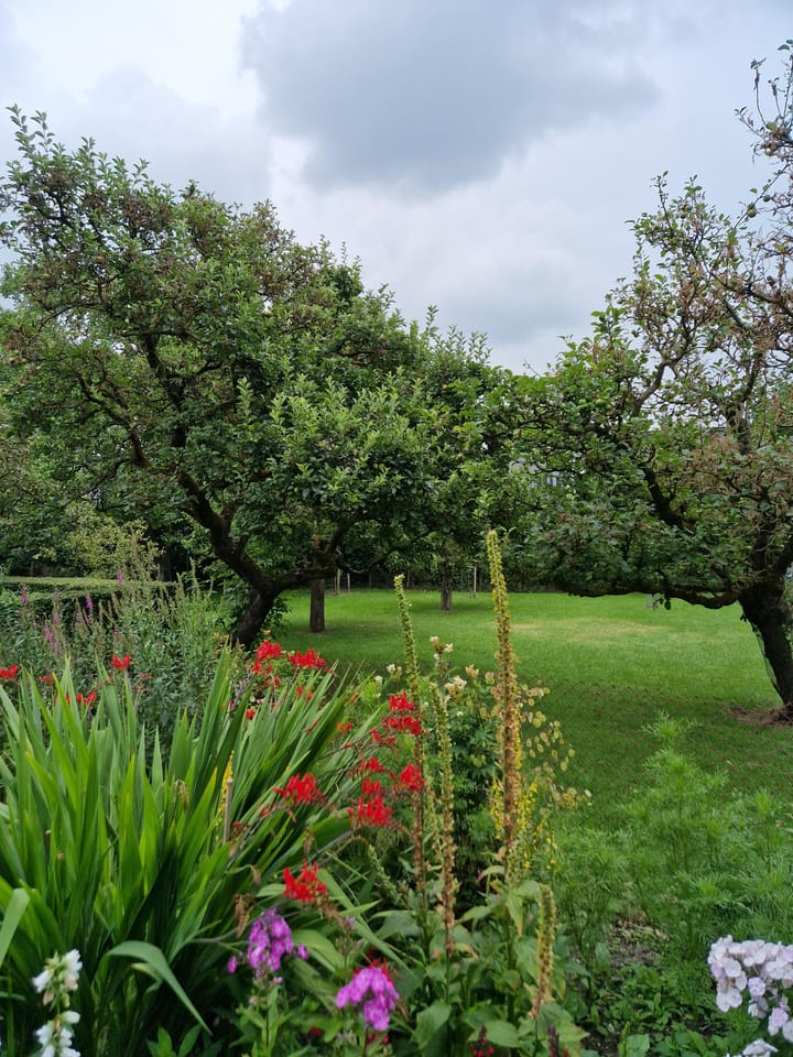 Foto 37 van Hegedyk 1