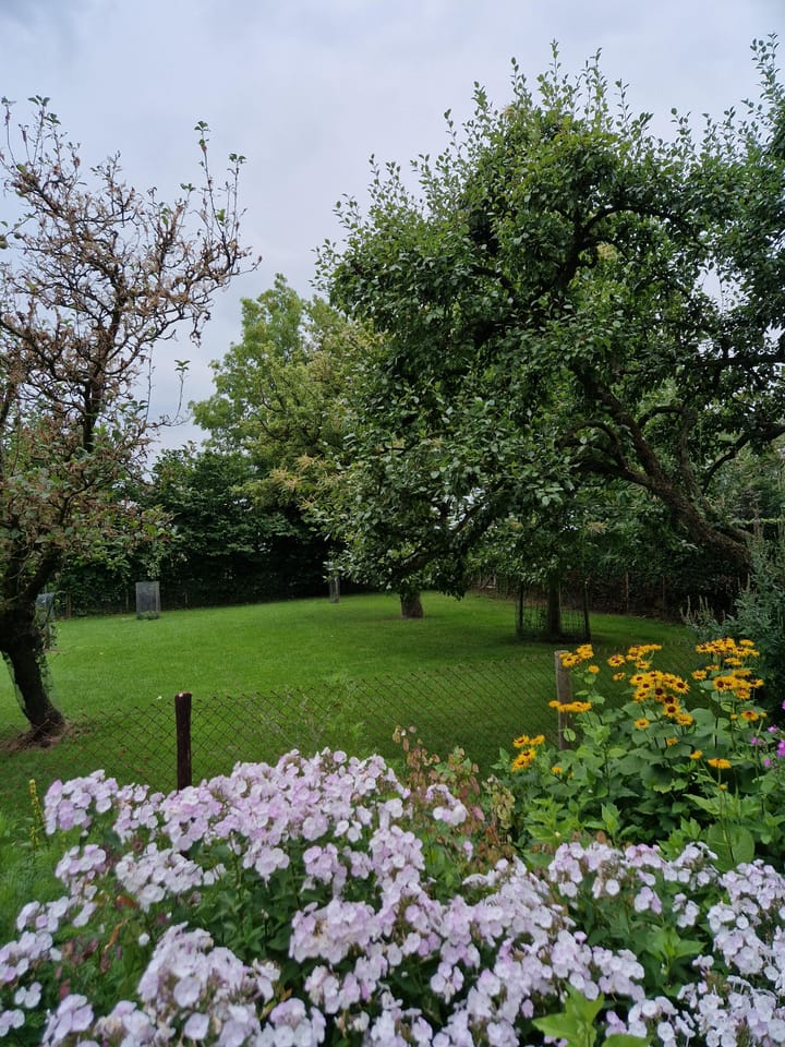 Foto 38 van Hegedyk 1