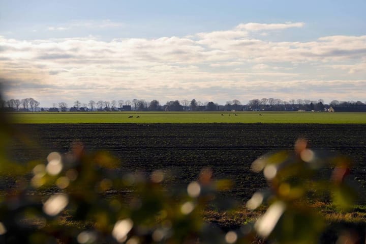Photo 20 of Oostelijke Koppelveenweg 12