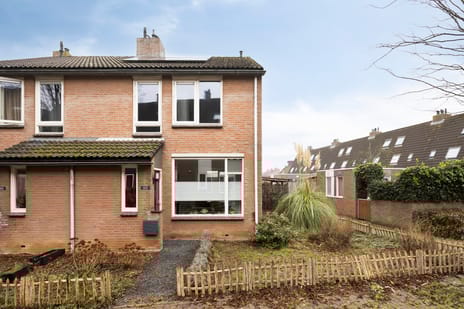 undefined main image