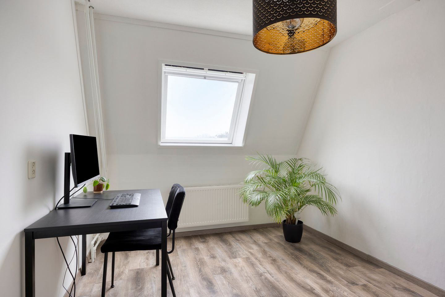 Foto 14 van Hoogmeer 1417