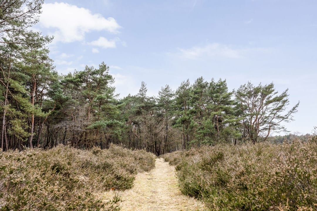 Foto 22 van Jacob van Campenlaan 210