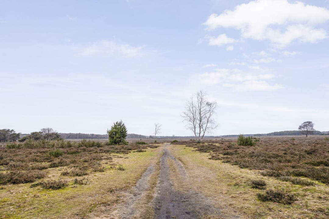 Foto 23 van Jacob van Campenlaan 210