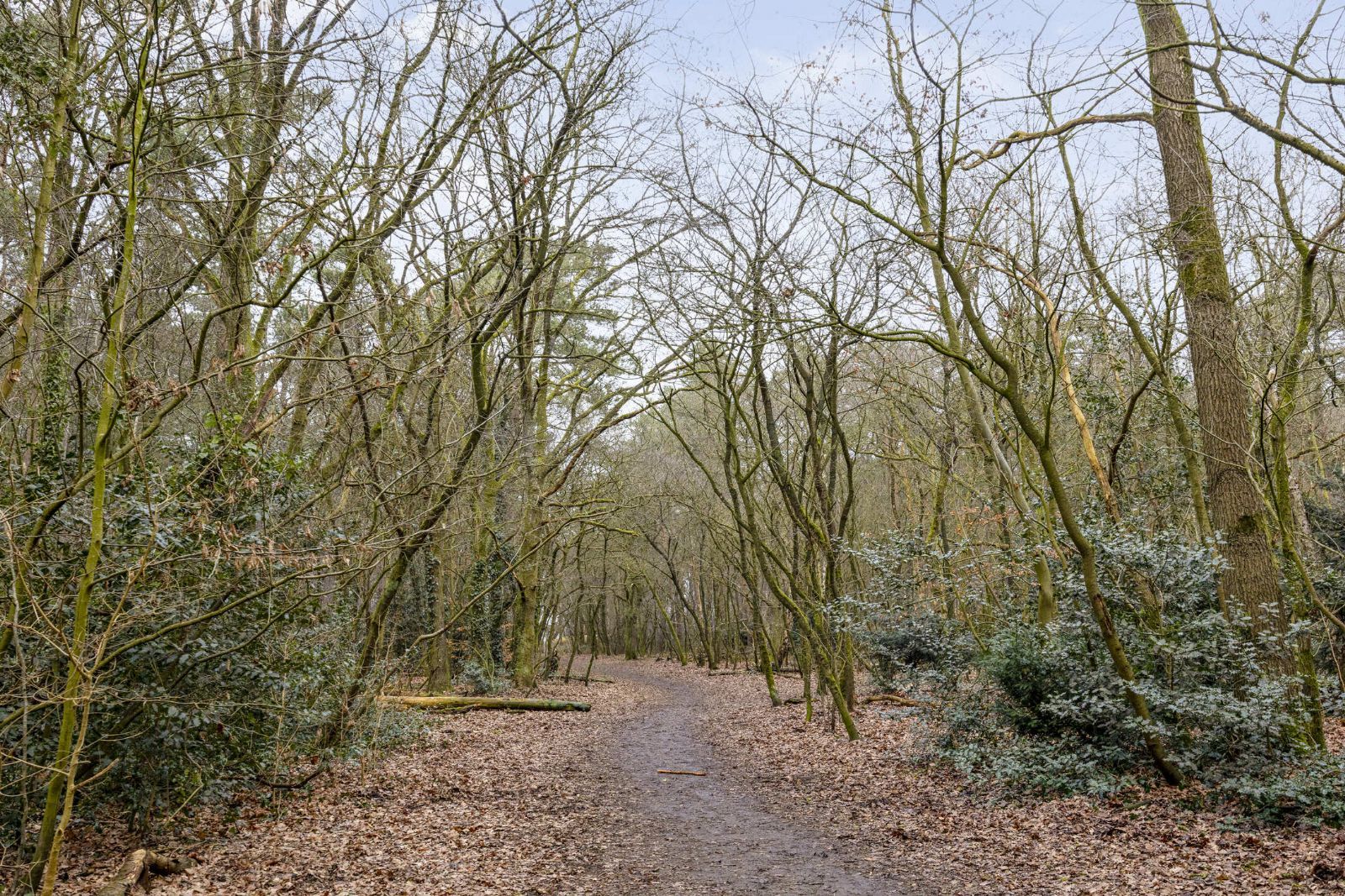 Foto 24 van Jacob van Campenlaan 210