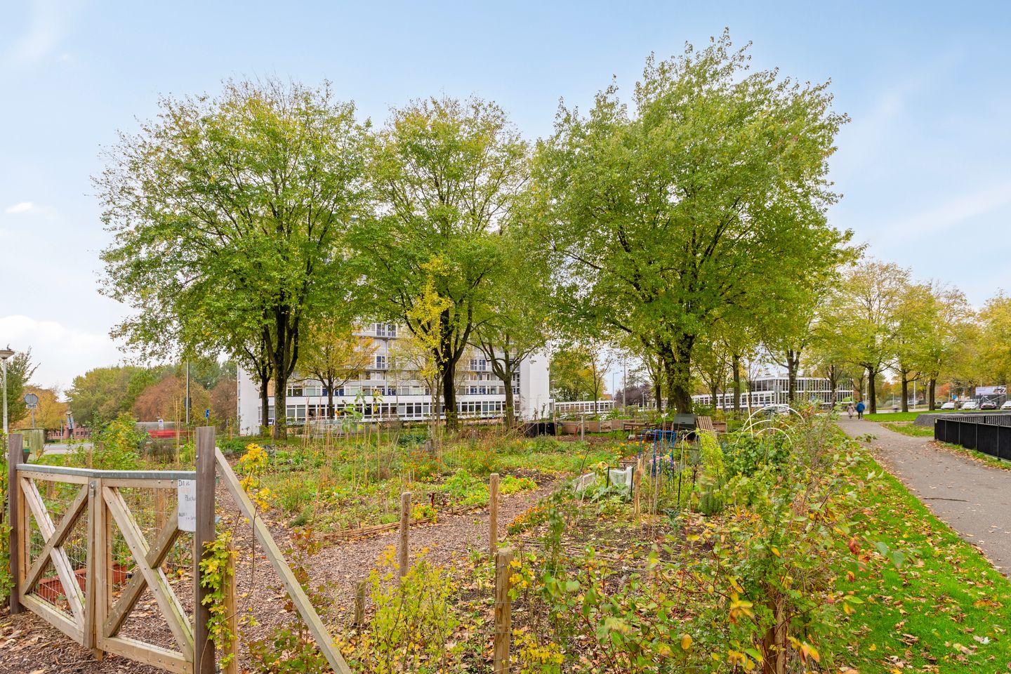 Foto 14 van Baden Powellweg 263-A6