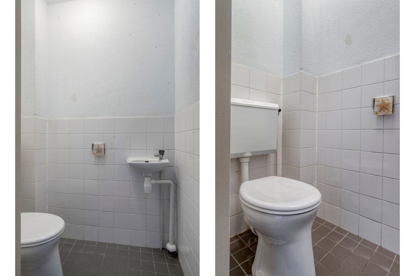 Foto 20 van Basilicumweg 56