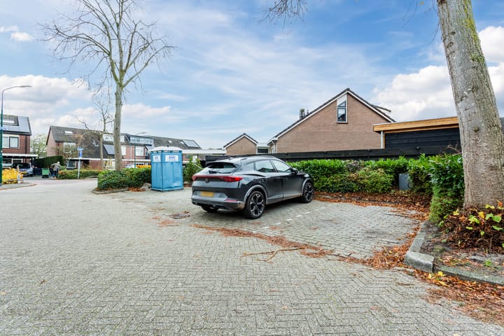 Foto 32 van Rietgans 27