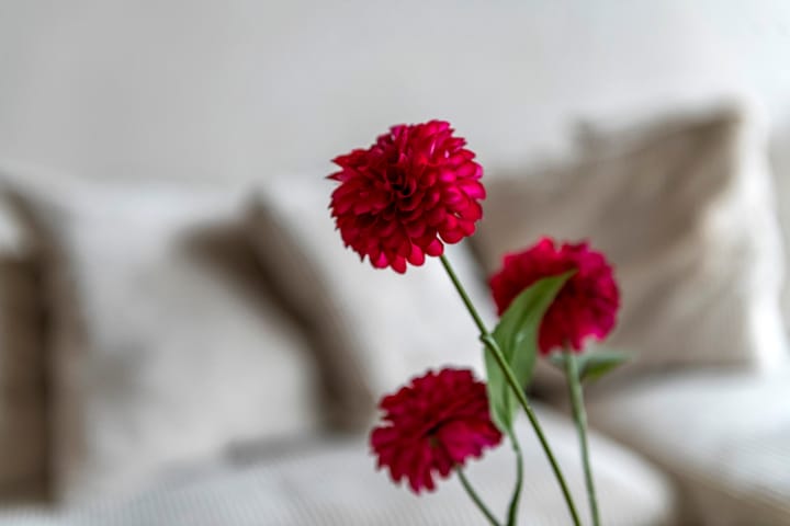 Photo 10 of Hisveltplein 92