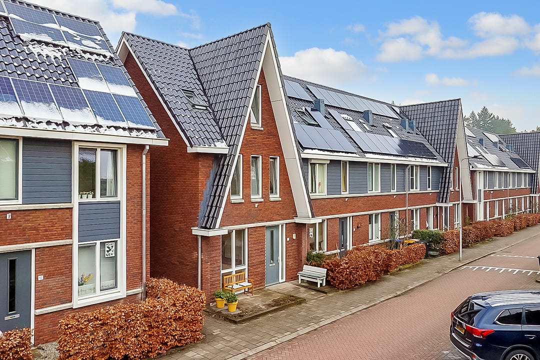 Foto 41 van Duivenhorst 12