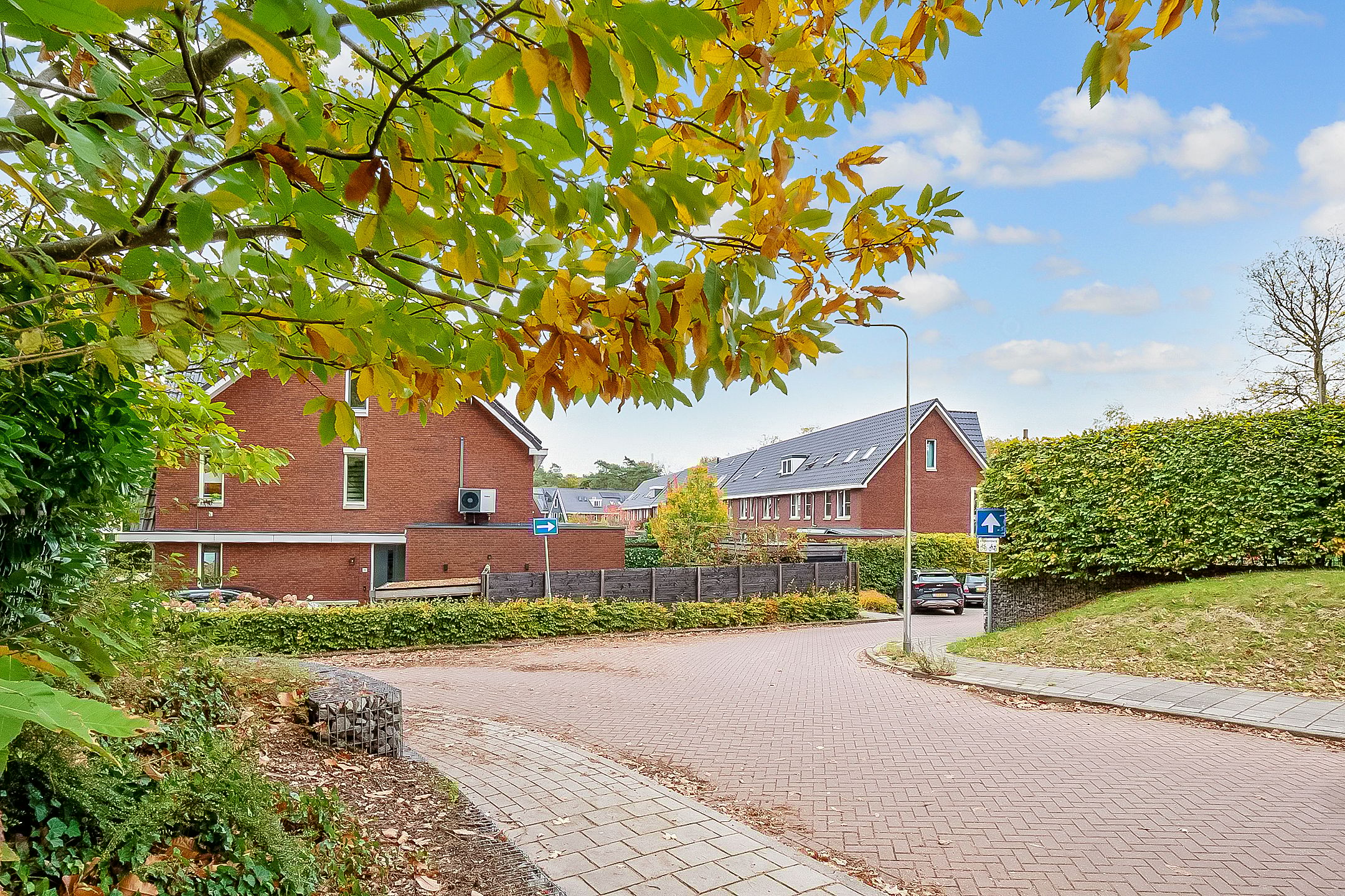 Foto 42 van Duivenhorst 12