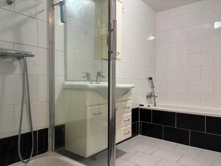 Foto 12 van Hermelijnvlinder 7