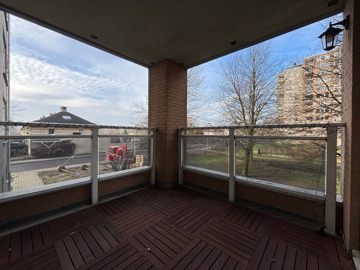 Foto 4 van Hermelijnvlinder 7