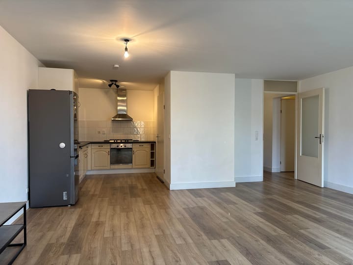 Foto 7 van Hermelijnvlinder 7