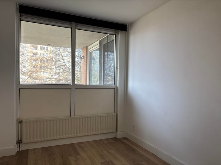 Foto 11 van Hermelijnvlinder 7