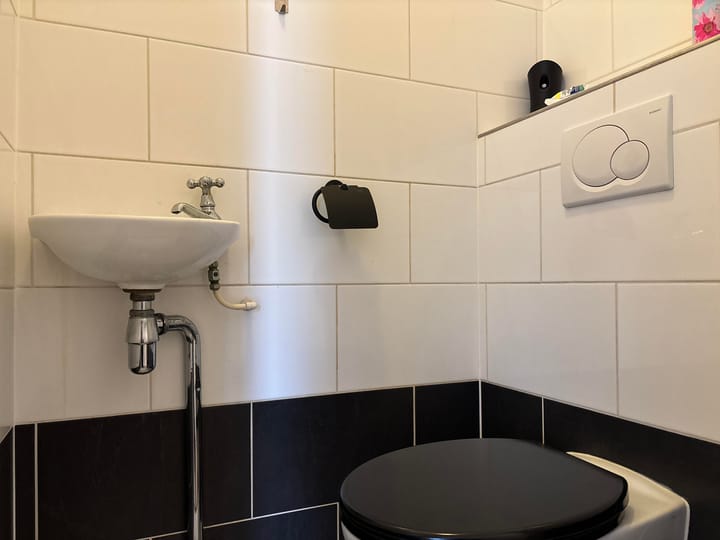 Foto 14 van Hermelijnvlinder 7