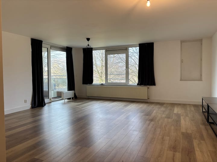 Foto 3 van Hermelijnvlinder 7