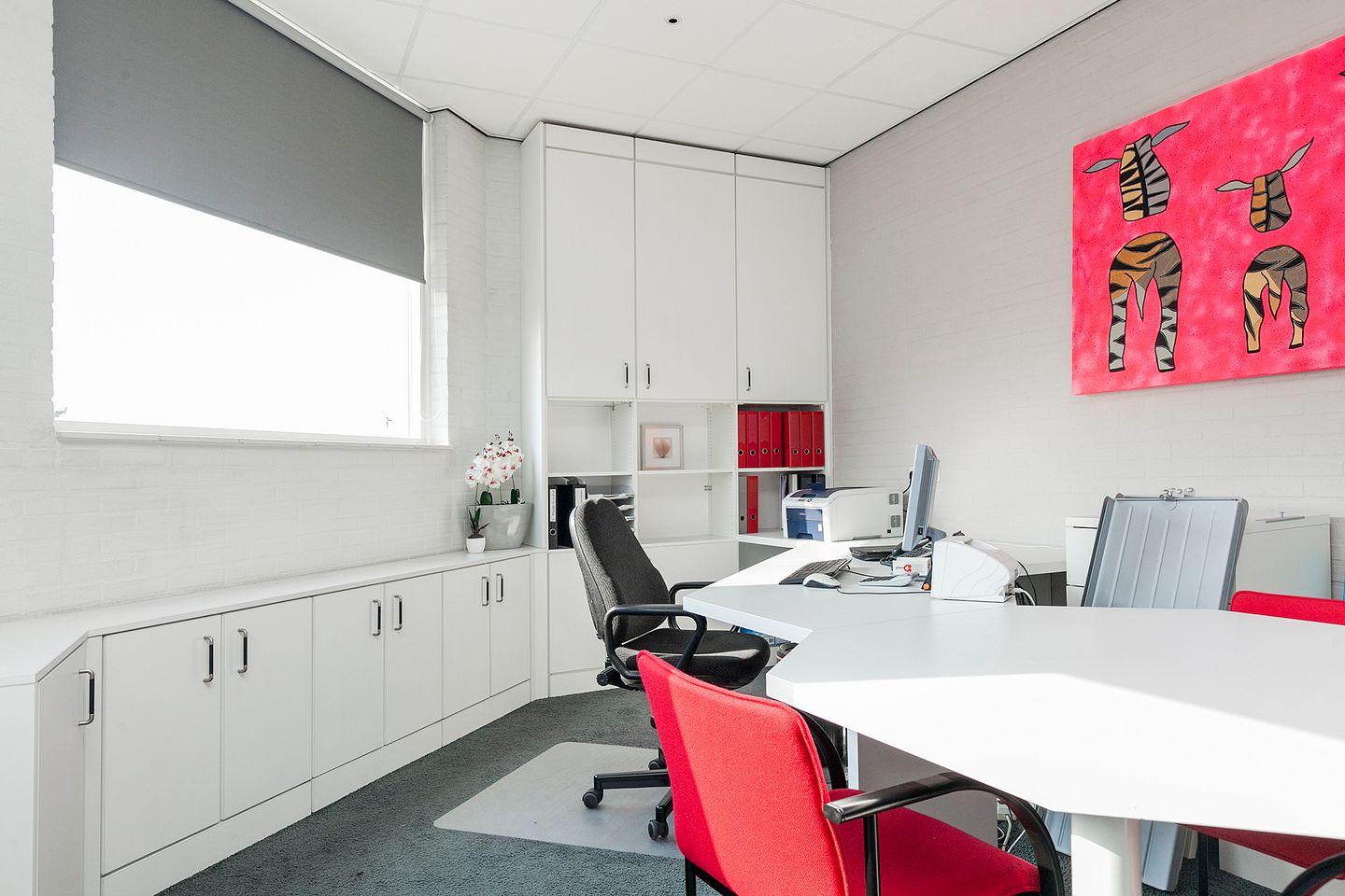 Bekijk foto 4 van Friezenweg 21