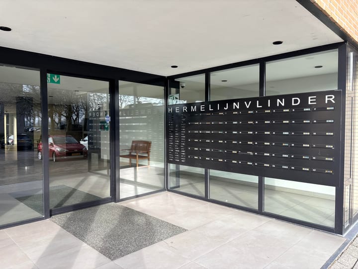 Foto 3 van Hermelijnvlinder 63